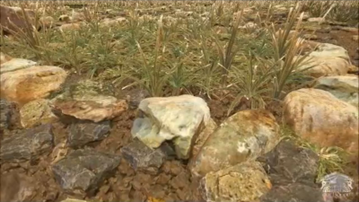 Czy grafika w grach może być 100 000 razy lepsza niż obecnie?