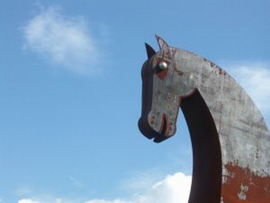 Pierwszy trojan rozprzestrzeniający się za pośrednictwem "obcych" botnetów