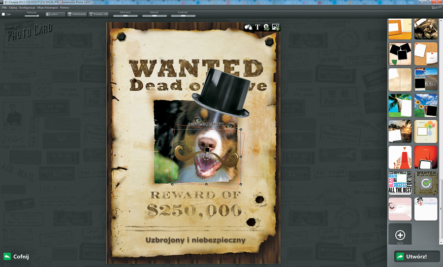 Test Ashampoo Photo Card – kartka na każdą okazję