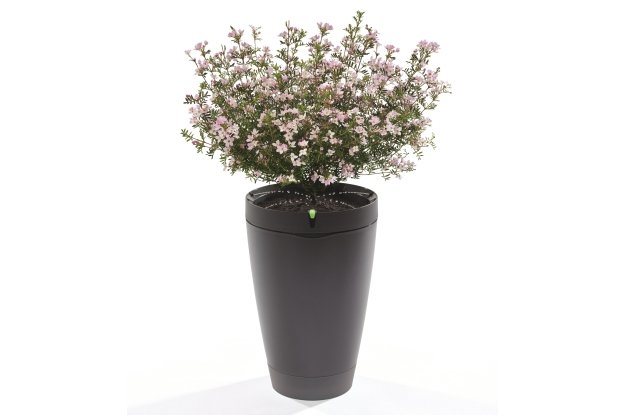 Parrot Pot – inteligentna doniczka