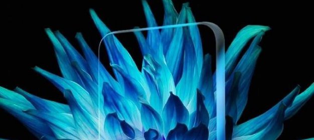 Mainmang 6  – smartfon Huaweia z 4 aparatami