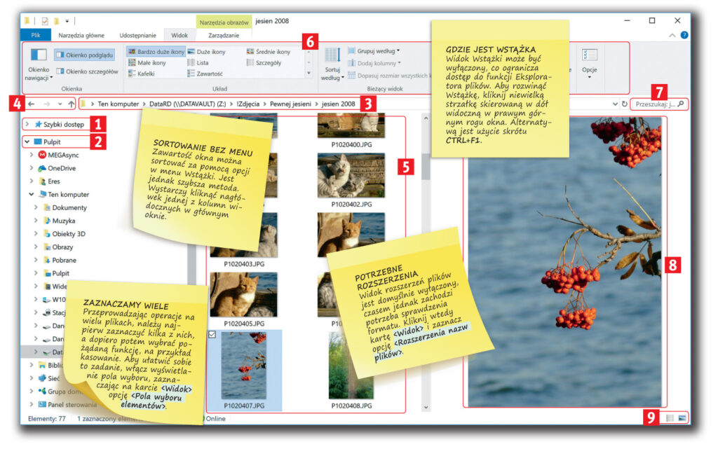 Eksplorator bez tajemnic