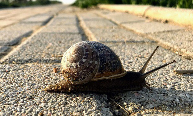 Rosja zapowiada spowolnienie działania Google’a