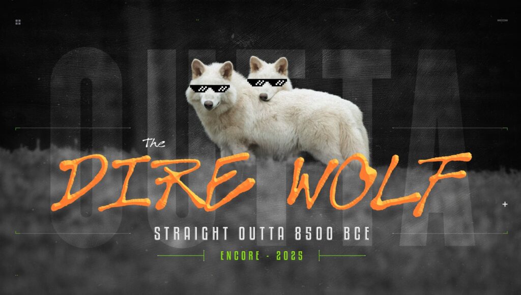 Wymarły gatunek powrócił? Naukowcom udało się rzekomo wyhodować wilka strasznego