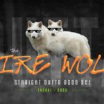 Wilki straszne powróciły za sprawą naukowców