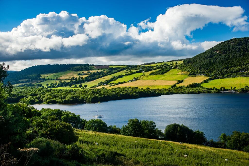 Zdjęcia Google z ciekawą funkcją. Stare fotografie zyskają nowy blask