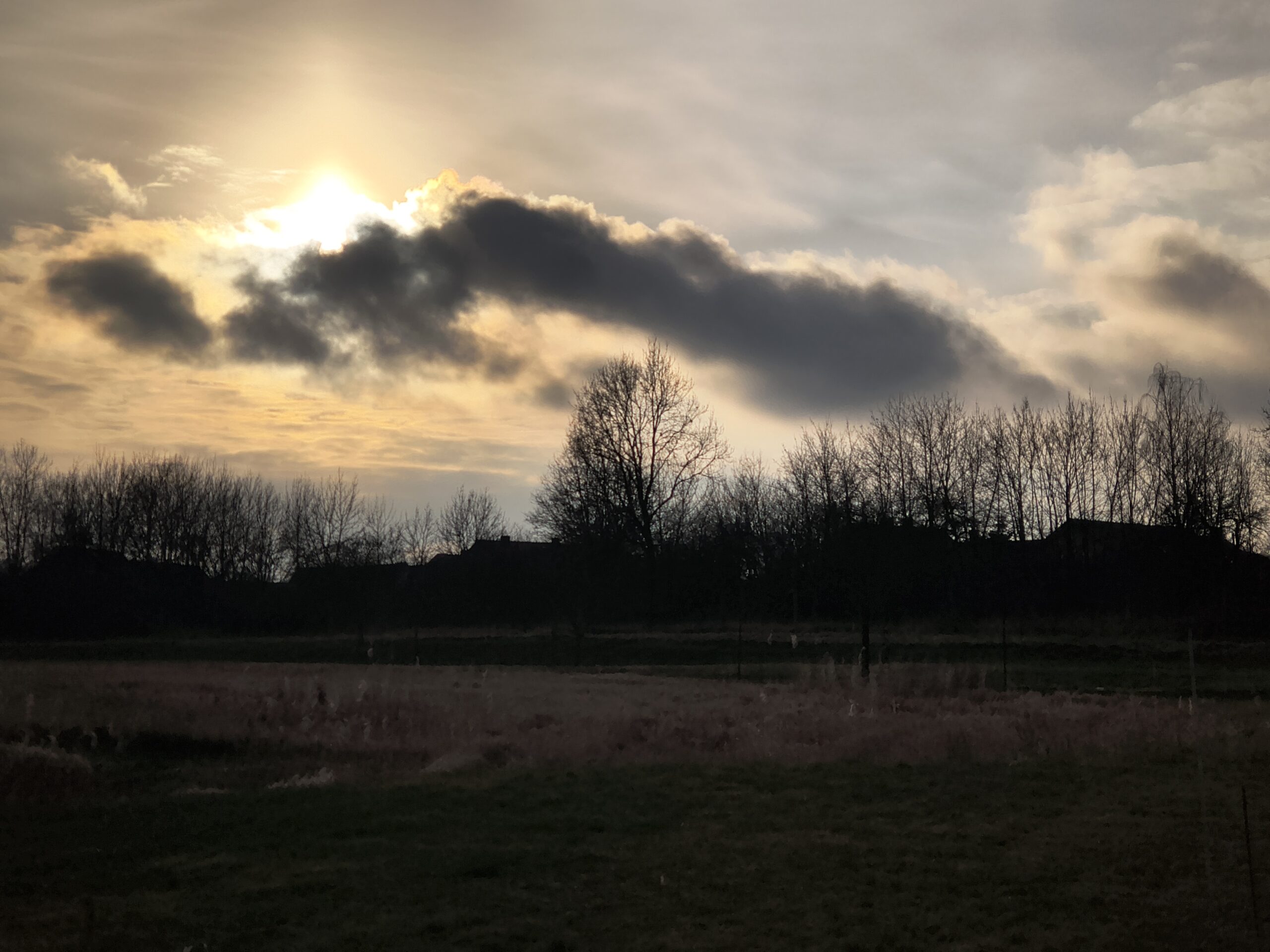 Motorola ThinkPhone 25