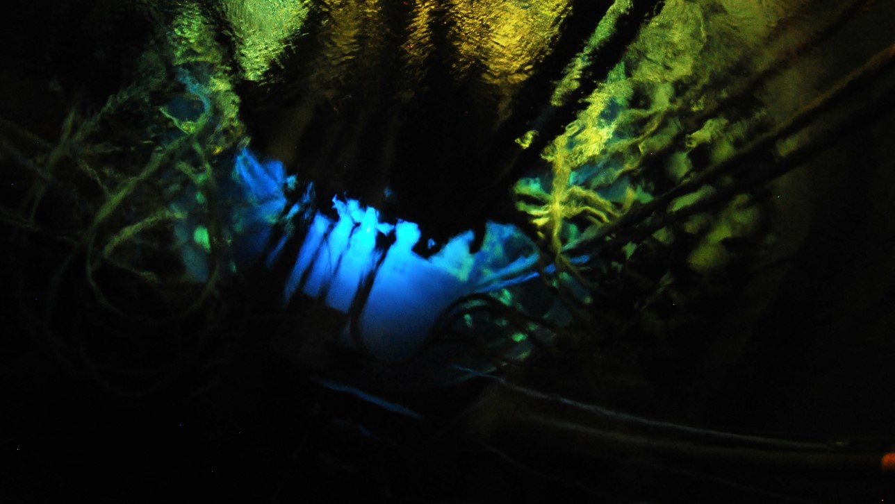 Promieniowanie Czerenkowa, reaktor "Maria"