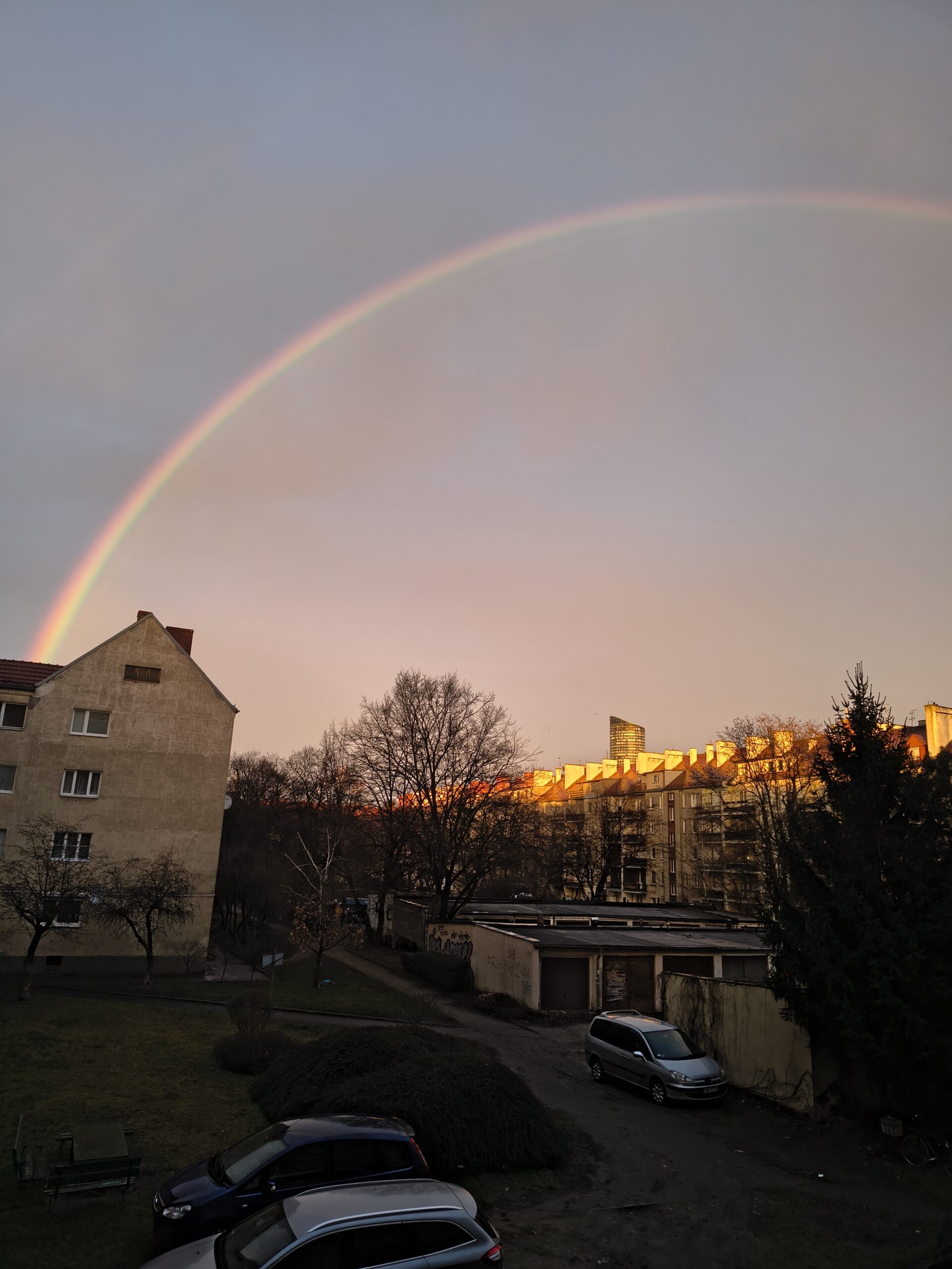 Motorola ThinkPhone 25