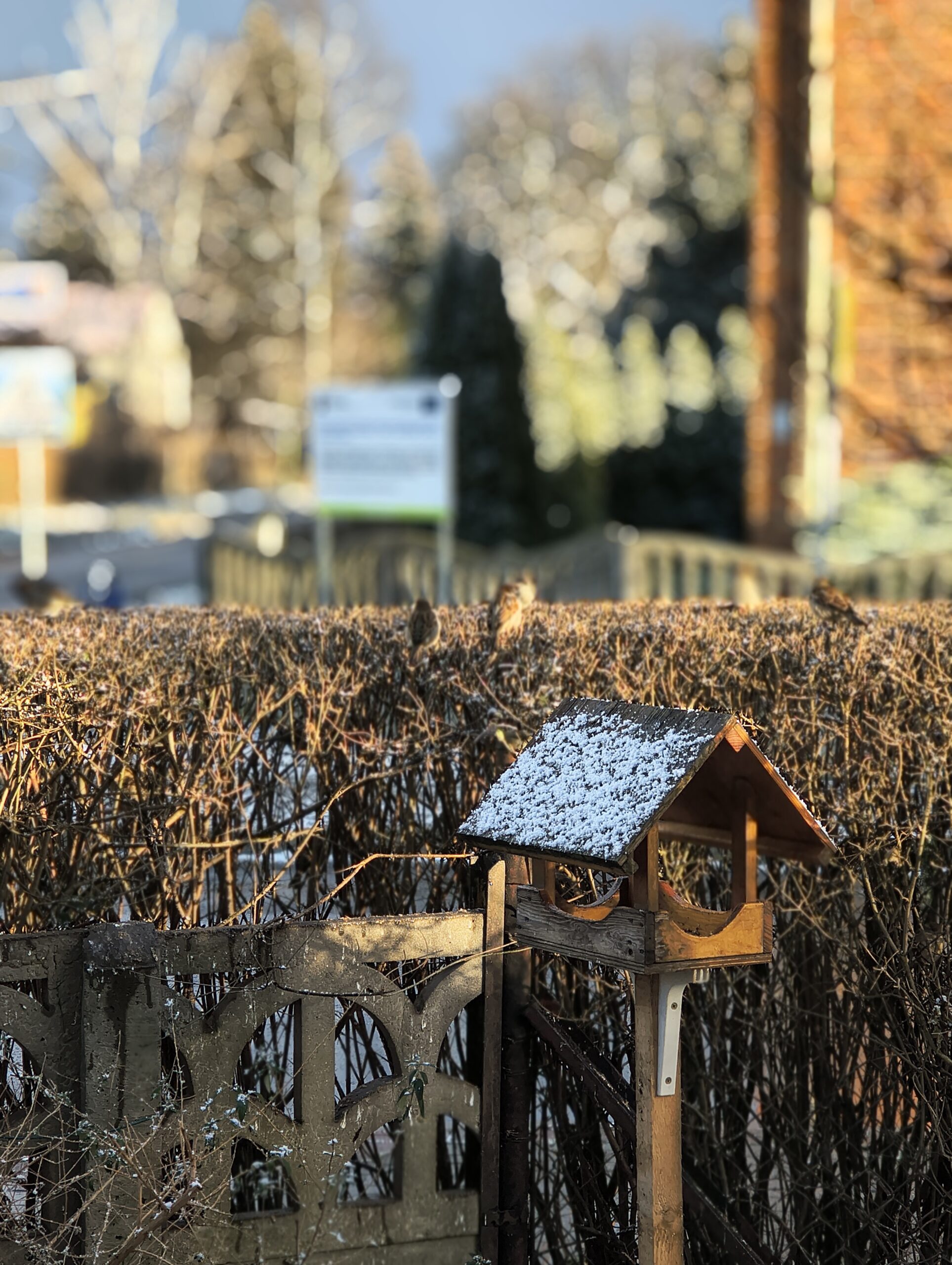 Motorola ThinkPhone 25