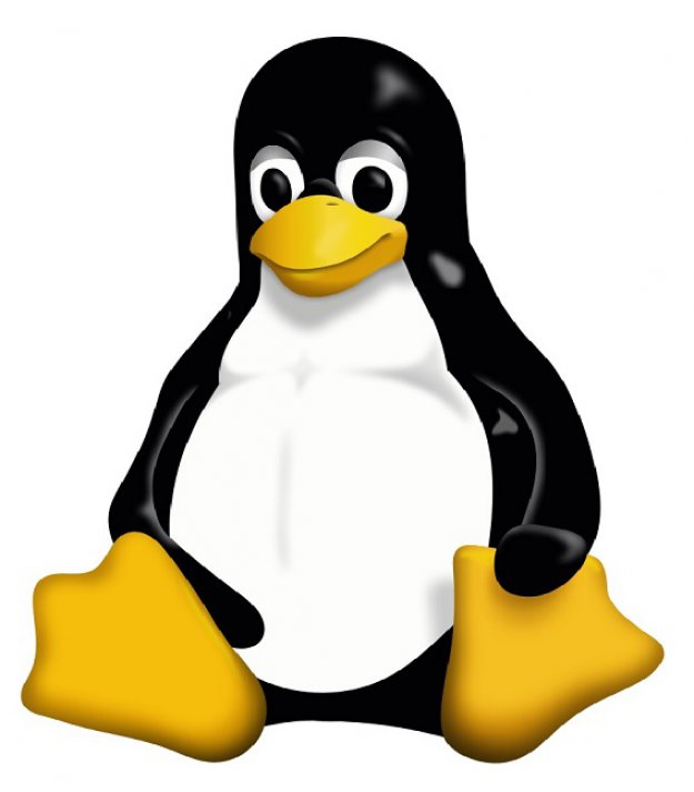 Jądro Linuksa świętuje urodziny