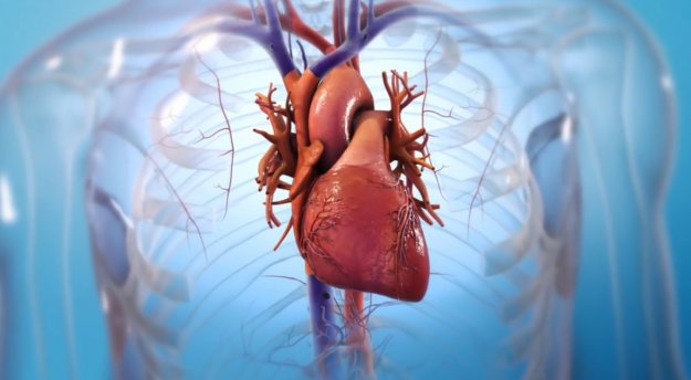 Coraz bliżej do serca z 3D