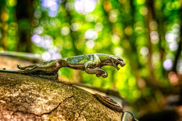 Jaguar nie tylko szybki, ale też wściekle… czerwony, różowy, zielony!