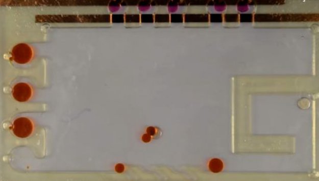 Małe roboty do wielkiej roboty