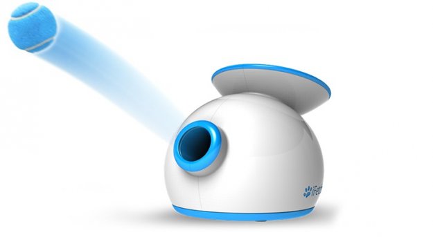 Interaktywne gadżety dla… psiaków