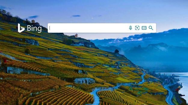 Bing z dobrym wynikiem w aukcji