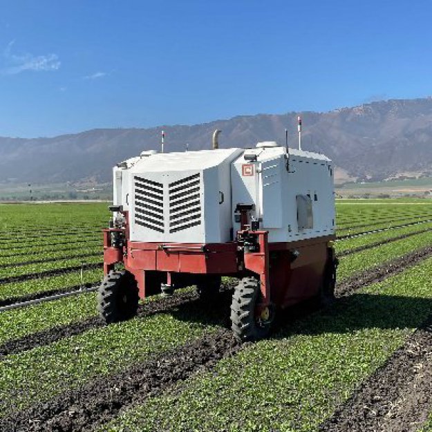 Sztuczna inteligencja w walce z chwastami
