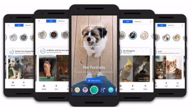 Poszukaj artystycznego bliźniaka swojego zwierzaczka