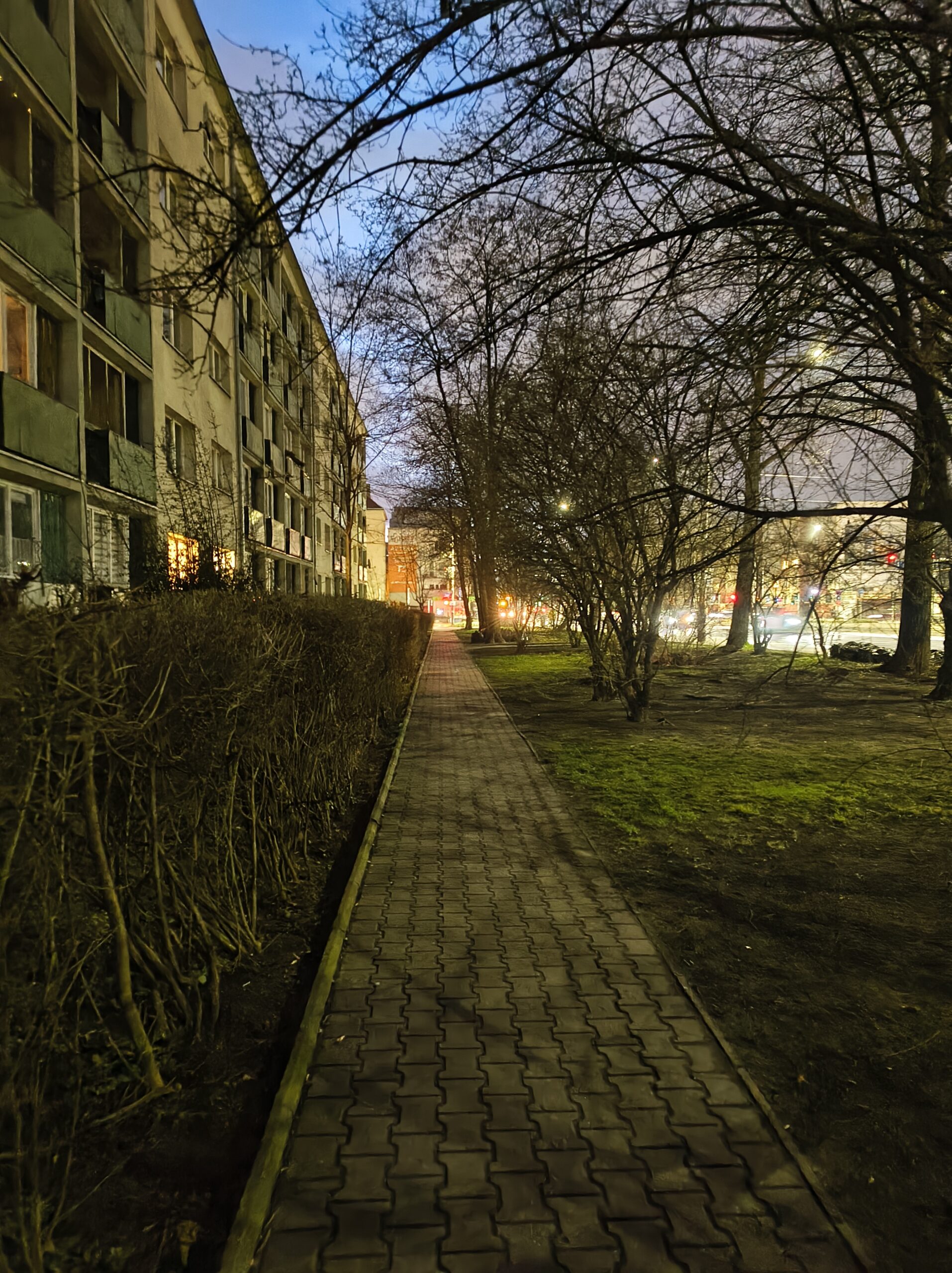 Motorola ThinkPhone 25