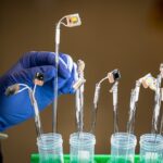 Autor fotografii: Marilyn Sargent