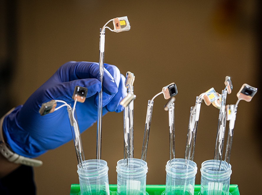 Naukowcy stworzyli sztuczny liść. Wykorzystuje światło słoneczne do produkcji cennych chemikaliów