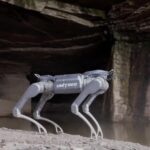 Unitree A2 Stellar Hunter