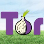 Tor