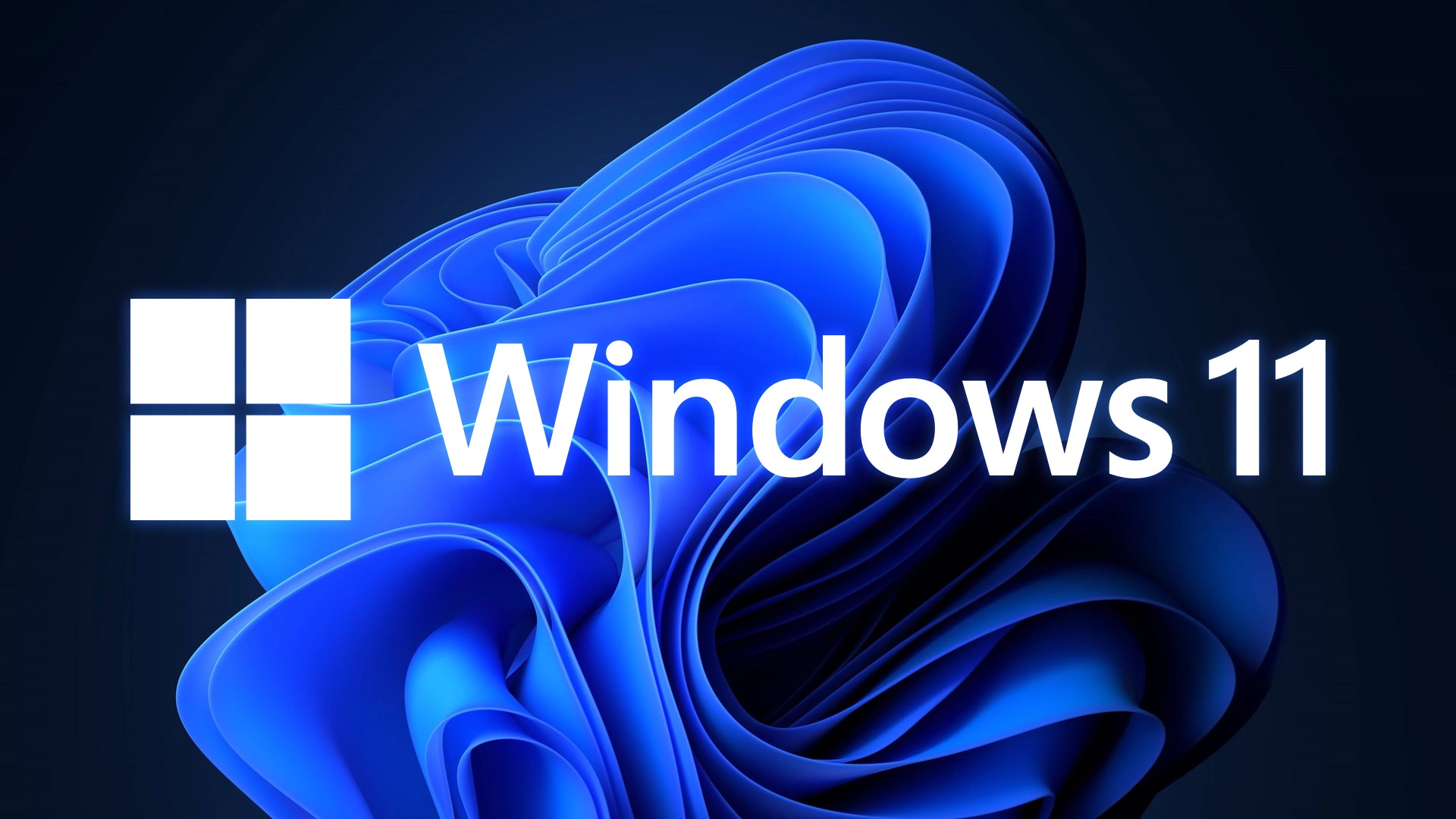 Windows 11