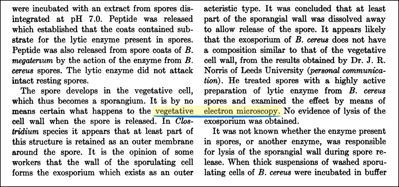 Niefortunne ułożenie słów w sąsiadujących kolumnach