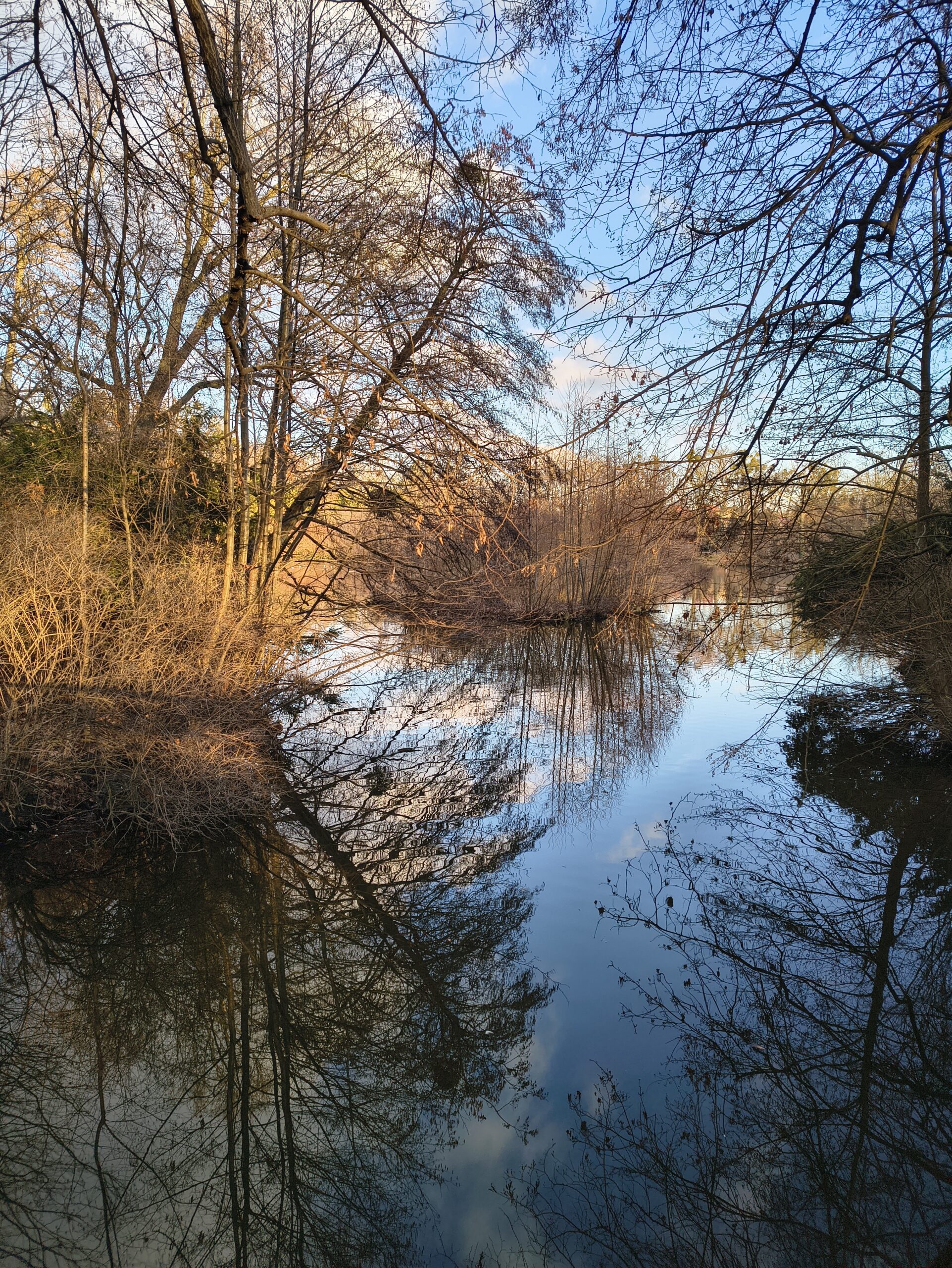 Motorola ThinkPhone 25