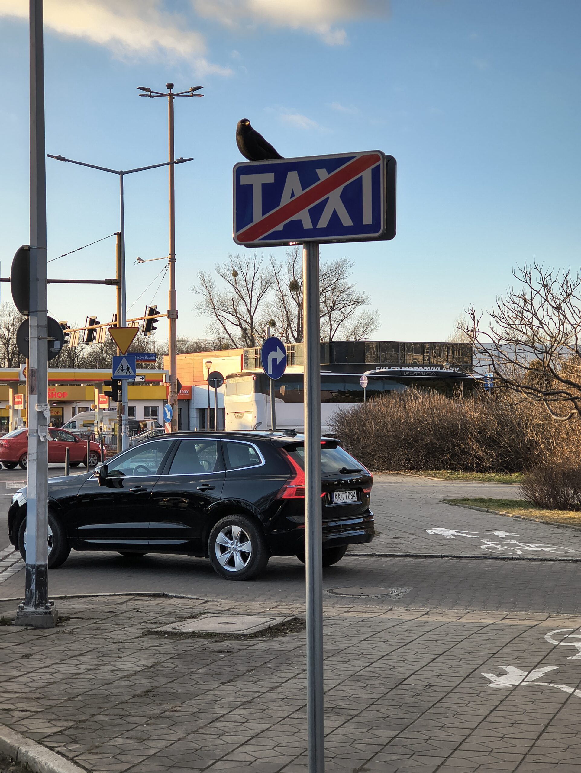 Motorola ThinkPhone 25