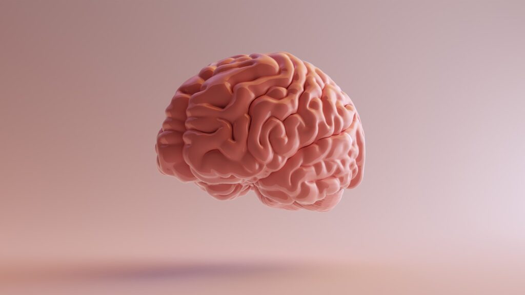 Med‑Gemini Google’a wymyśliło nieistniejący fragment mózgu. I żaden lekarz nie zauważył