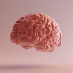 Mózg, grafika ilustracyjna