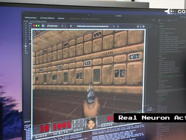 Doom na biologicznym komputerze