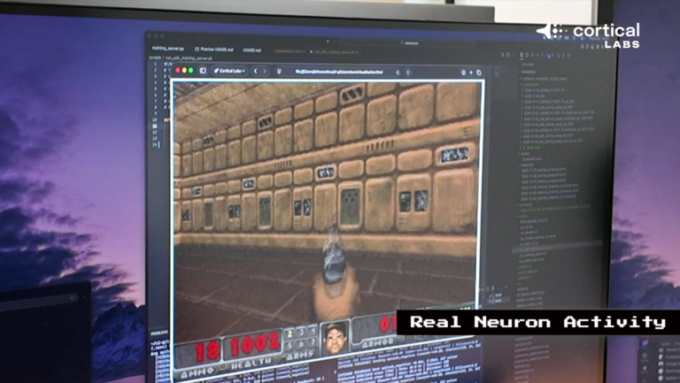 Doom na biologicznym komputerze