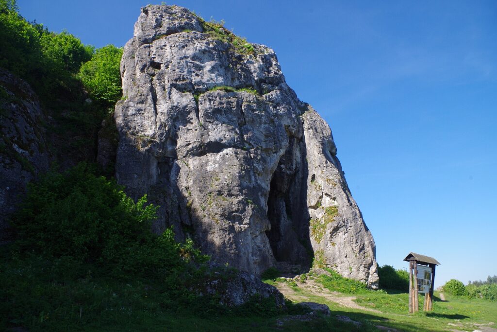 Neandertalczycy z Polski bez tajemnic. Jaskinia, którą odwiedziłem na wakacjach, pozwoliła przeprowadzić przełomowe badania