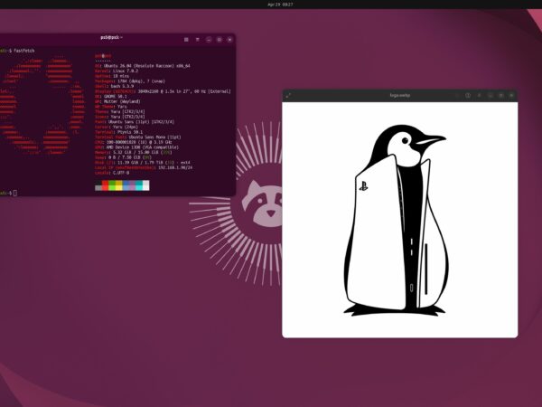 Linux na PlayStation 5