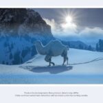 SynthID. Grafika: Google