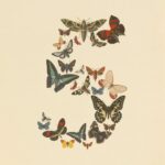 Anthropic Mythos 5 i Fable 5