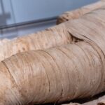 Klątwa faraona istnieje. Naukowcy przeanalizowali oferty w sieci i podają przykład Wawelu w Krakowie