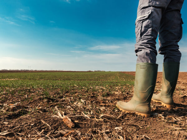 Farmer