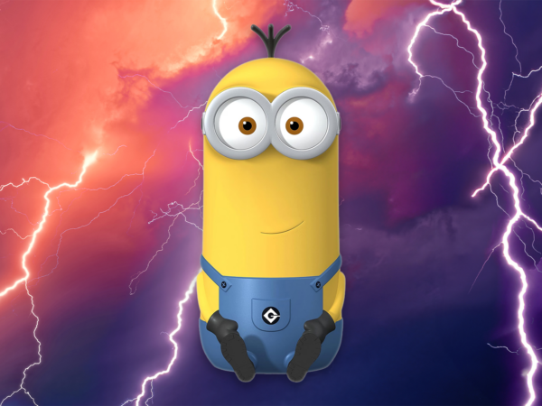 Minionek routerowy