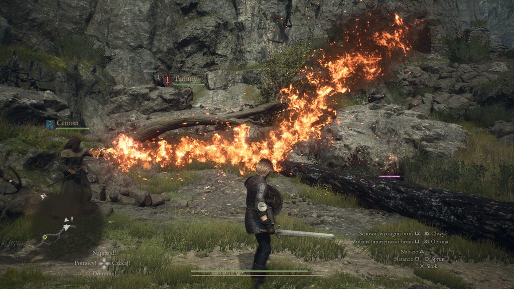 Dragon’s Dogma 2