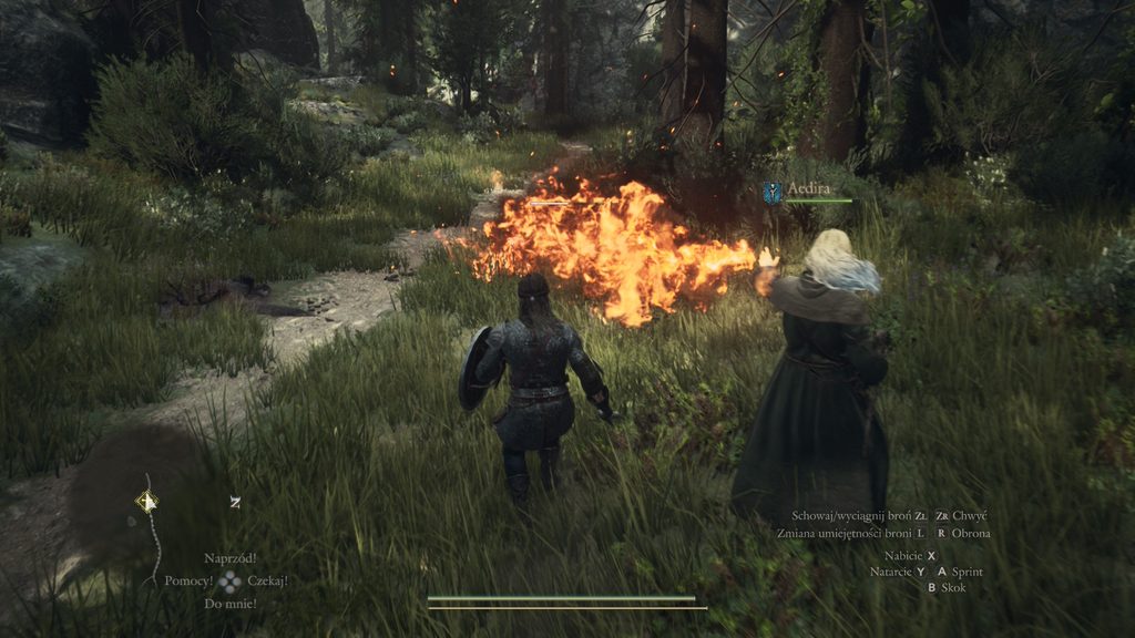 Dragon’s Dogma 2
