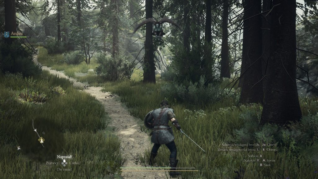 Dragon’s Dogma 2